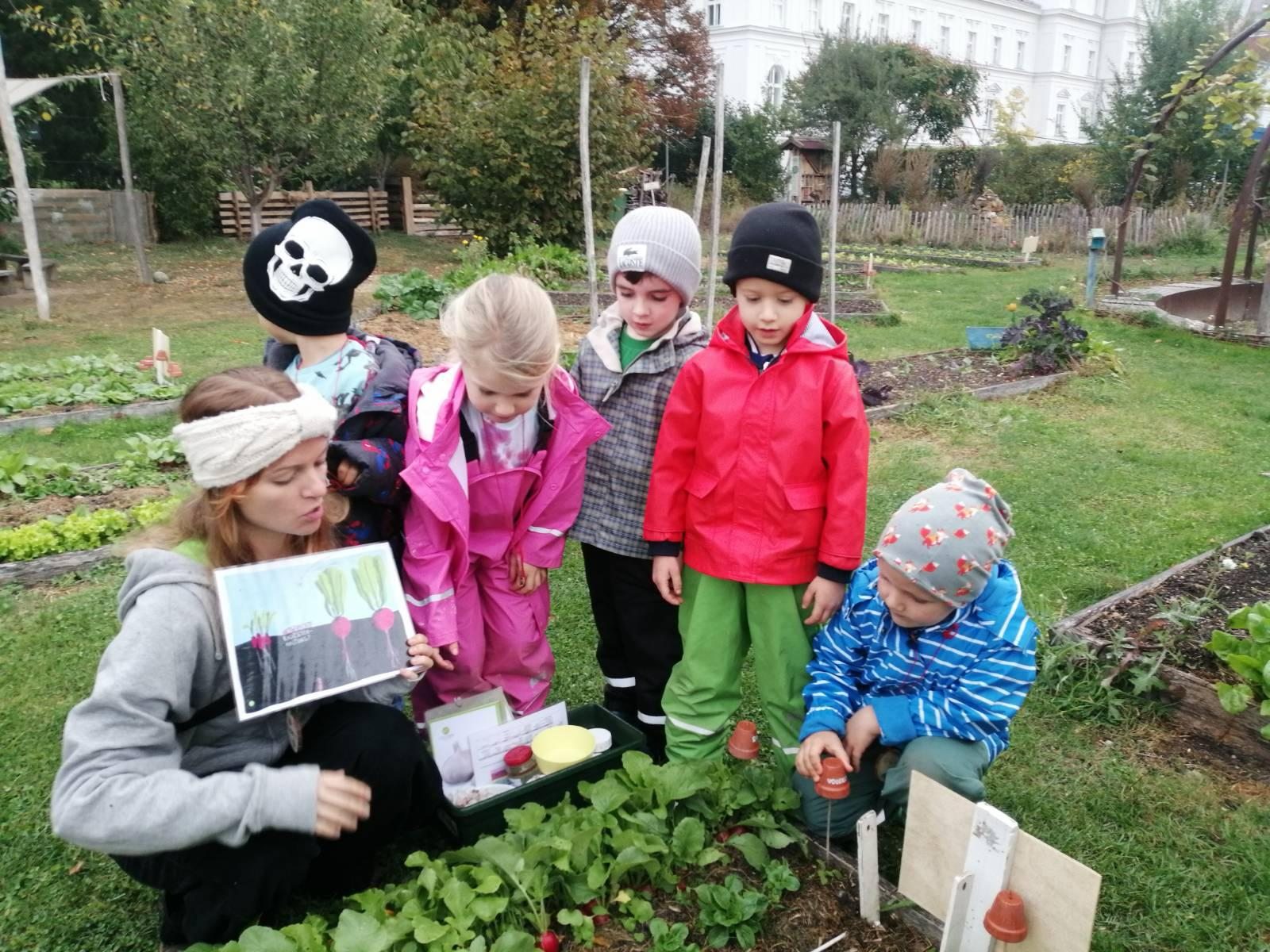 Kinder und eine Begleitperson entdecken Gemüse im Garten